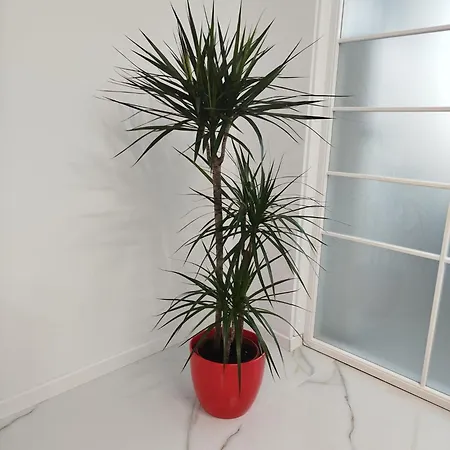 Διαμέρισμα Tudor