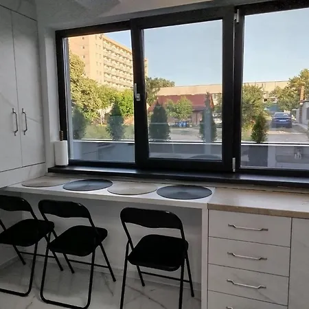 Tudor * אפורי נורד