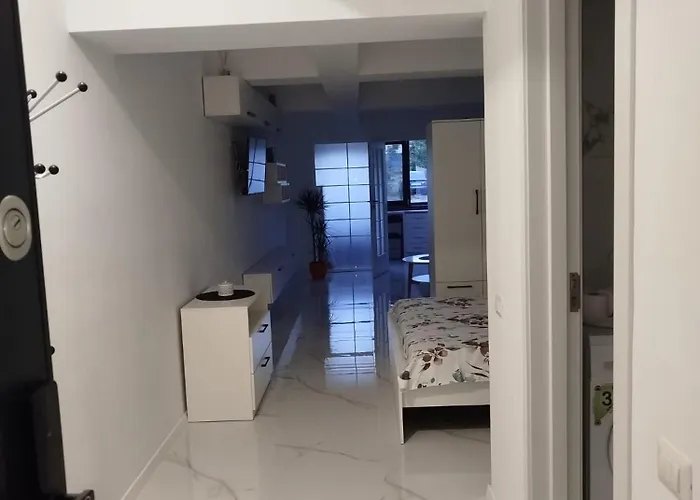 Tudor 艾福雷诺德